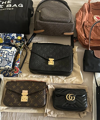 ��ͨ���˵�10ֻ�ճ�ͨ�ڰ��������ٴ��������ҵ�����