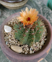 3��Ǯ�������򿪻��ˣ�ˮ��һ����Ө���ʺ�������