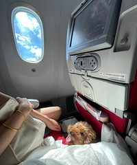 ����ס������������Խ��Ͳ�������ȫ�����ڴ�