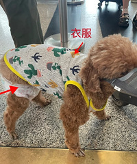 [�ղ�]����ס�����Ϻ��տ��Դ�������Ͳ��ˣ���ȫ���̹����ڴ�