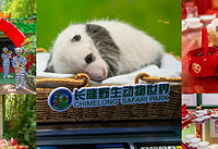 ��¡���ǲƴ����֣���è���̣��������ų�����ϲ��