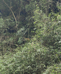 ������ȥ�ϴ�����ˣˮ�ģ����û�뵽������ɹ����