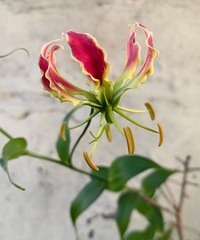 �����ٺ���Ҳ�У��������˸����᲻��˯��