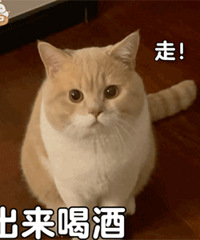 ������ֵ����ε��֮����Ĥ2Ƭ19�� �������ض���˪79