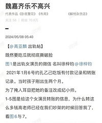 魏嘉再发文控诉高亚麟出轨