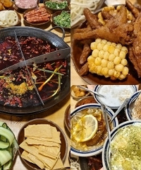 大坪这家火锅我吃很多次了,味道很稳定