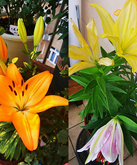 4��Ǯ��İٺϣ�����60�쿪����