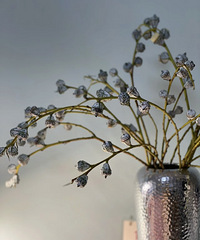 [����]��©������11.9��������ε������ʰٺ�30��һ��