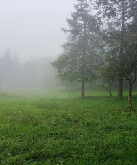 ����������Ůɽ֮�У�һ����һ������������ð��