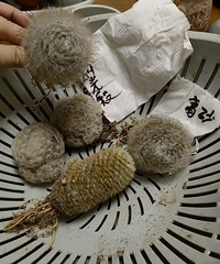 ������ֵֹ�������3Ԫһ�������޻���һ��