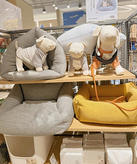 Muji ������ƷҲ̫�ù��˰�