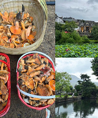 ���ڳ����ɣ����컹��ˣ��