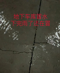 [����]С������������ô�죿�о��������Ҫ���ˣ�����������