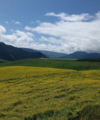 ׿ɽ޷ݣյտɽ͵ĵ䣬·