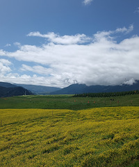 ׿ɽ޷ݣյտɽ͵ĵ䣬·