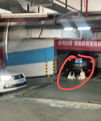 �������ӰӰӶ����ˣ�С���Ѿ�Ȼ���ڵؿ�ĵ���