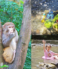 �����޽⣬���ϴ���Ȫˣˮ��Ұ