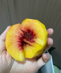 ֻ����һ����ϲ���Ժϴ��������𣿴���ó�