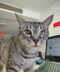 èè�������ĺ��룬���ǻ��ռ��𣿾�˵�к���