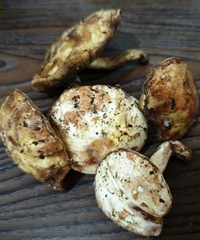 ����֮�˲��������������Զ�����ȥ��������ӳ�