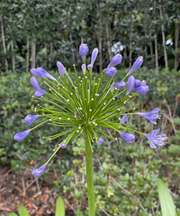 �̻����Ļ��ó�ǰ���Ե���/������������Բ׶����