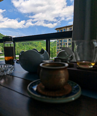 贵州遵义避暑日记,我在九坝避暑喝茶