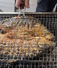 �ҵļ�����ʳ��С��������ƿ��㡢�������������