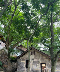 89��158CM����ҽԺ��С������飬ϣ���Է�85~92��