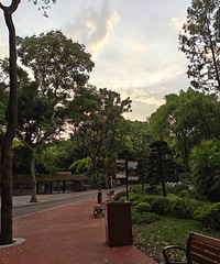 [����]����Ŀǰ���꼶��������30���Ҫ���ֶ��׷���