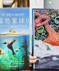 这套真是神作,内容美到炸裂