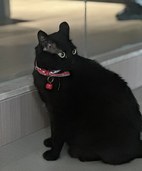 �ϰ�趼���ˣ����˸���˿͵�ҵ��Ա���ϰ�