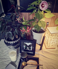 ֲ������õ����մ��ӣ��Ը����һ�¾��з�Χ��