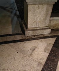 ���ˣ�����С����ץ��һ���ߣ��������ж���Ʒ��