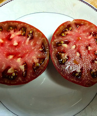 ���Ѷ�óԲ��꣬���ɲ�ͬ�Ĳˣ�ÿ��һ���Բ���