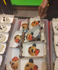 ȫ��Ψһ����̥����è����˧�ᡱ���10��������