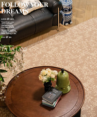 ʽװ˭˵¯͵Ӳɼãƫ