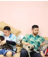 ��Ŀ����ôҪ�ã���Ŀ�����Ϸ�ͥ��