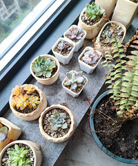 [����]������̨�Ļ������𣿳�ȥ1���£�������̨�Ļ�ȫ����û