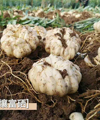 �԰ٺ��������ʵ�������ˮ�����ʣ�����39/��