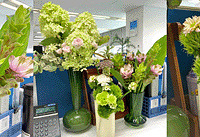 ����30+�Ұѹ�λ���������Сɭ�֣�ȥȥ��ζ��