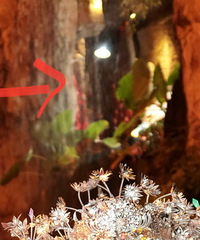 �����˺��¶����գ���·��ó�������