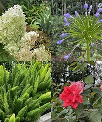 �̻����Ļ��ó�ǰ��ȫ����ϲ�������