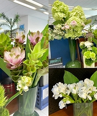 ��30�ѹ�λ�����Сɭ�֣�ȥȥ��ζ��