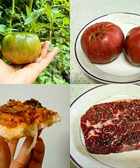 ���Լ����ֵķ��ѣ�����ͬ�Ĳ�