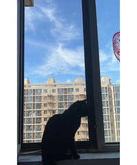 ���ȥ��������è����ô�죿Ҫ���յ���