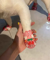 ���ǻ����������Ь���𣿱������ЬЦ��һ��