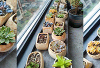 �������һ���£��ؼҺ���̨ȫ����û��ֻʣ����