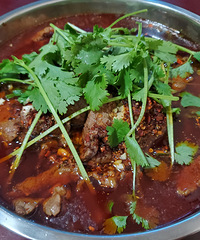 89171CM˫飬ϲ˶ɽͽ