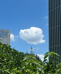 ������ƺÿ������棬�Ҳ�������û�п����������