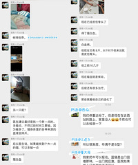 [����]è����˰�Ѫ����������Σ����Ѫ�����߼�ѰB��Ѫ����